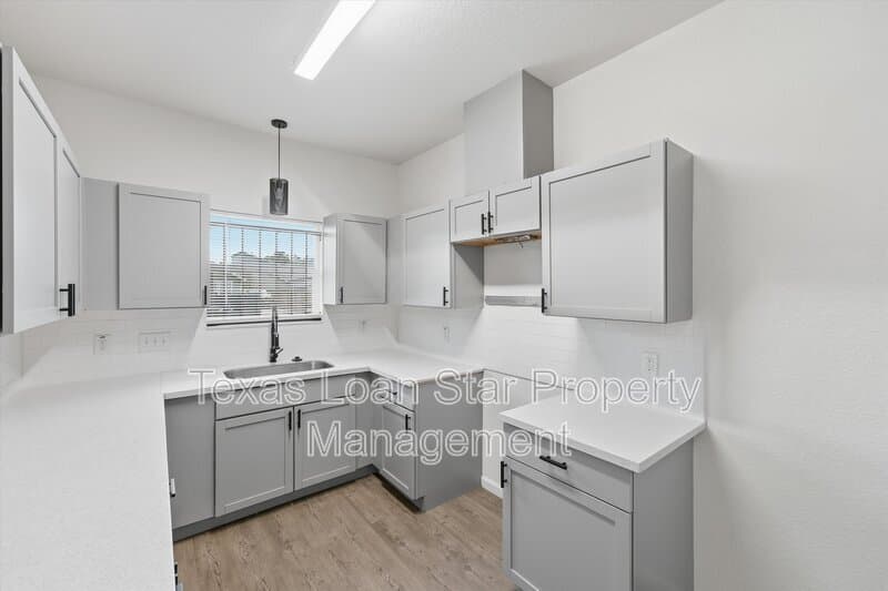 Houston Condo: 319 N Carolina St