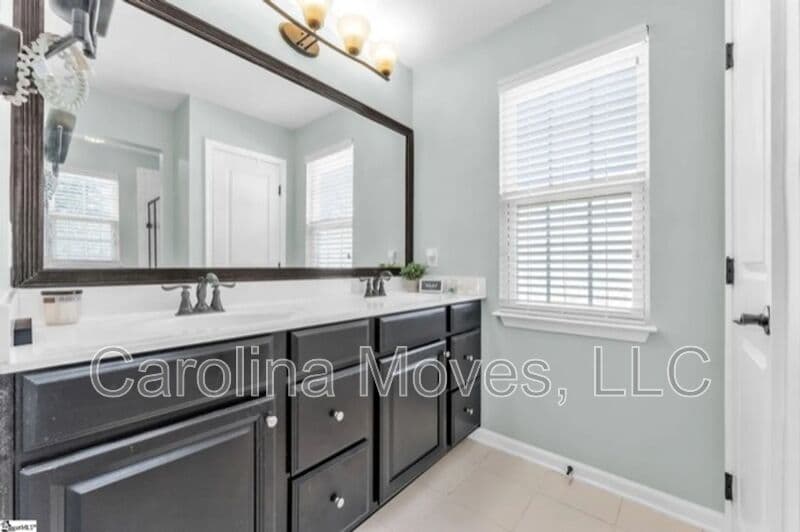 Greenville Townhome: 401 Christiane Way