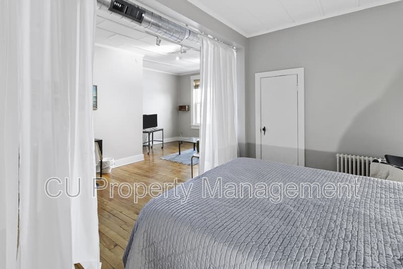 Champaign Condo: 415 North Neil Street - 2
