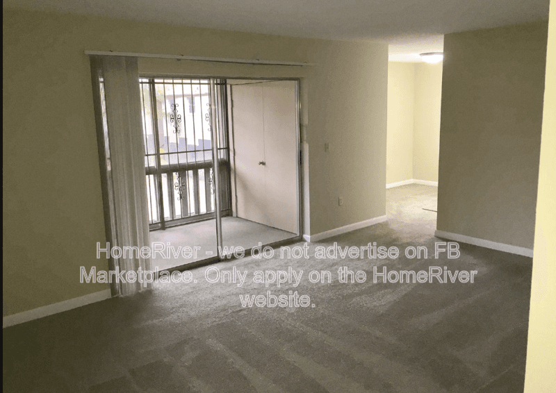 Tampa Condo: 305 E Whitehall Ct