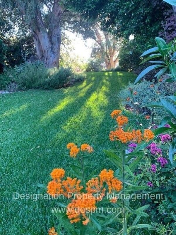 Altadena House: 4395 El Prieto