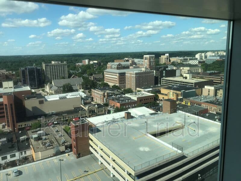 Ann Arbor Condo: 555 E William