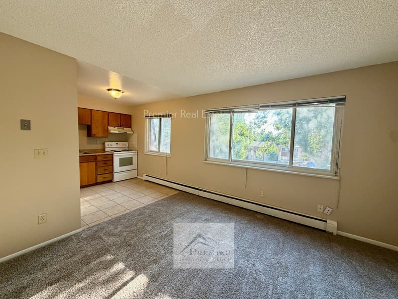 Colorado Springs Condo: 3940 Stonedike #A