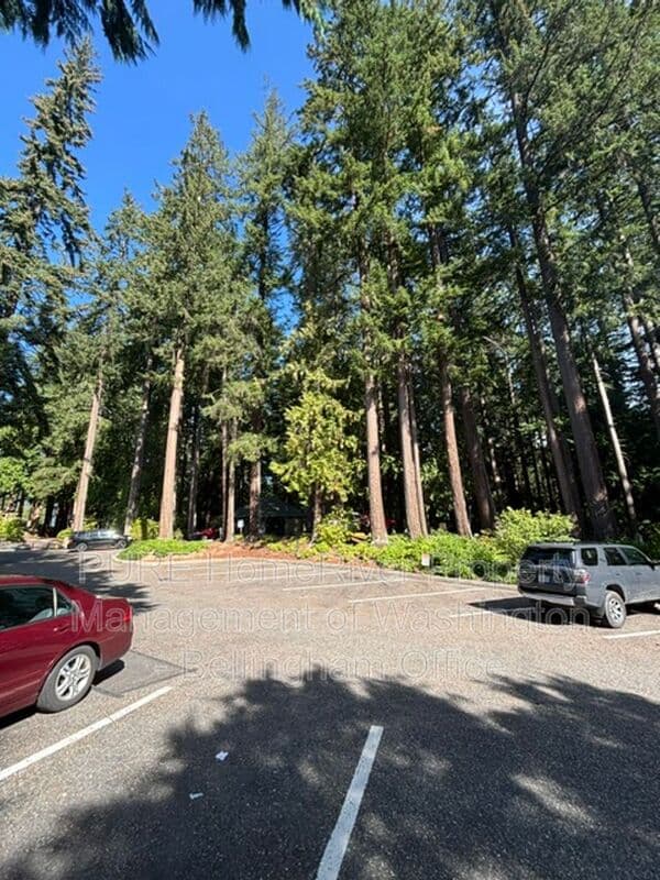 Bellingham House: 2 Marigold Dr