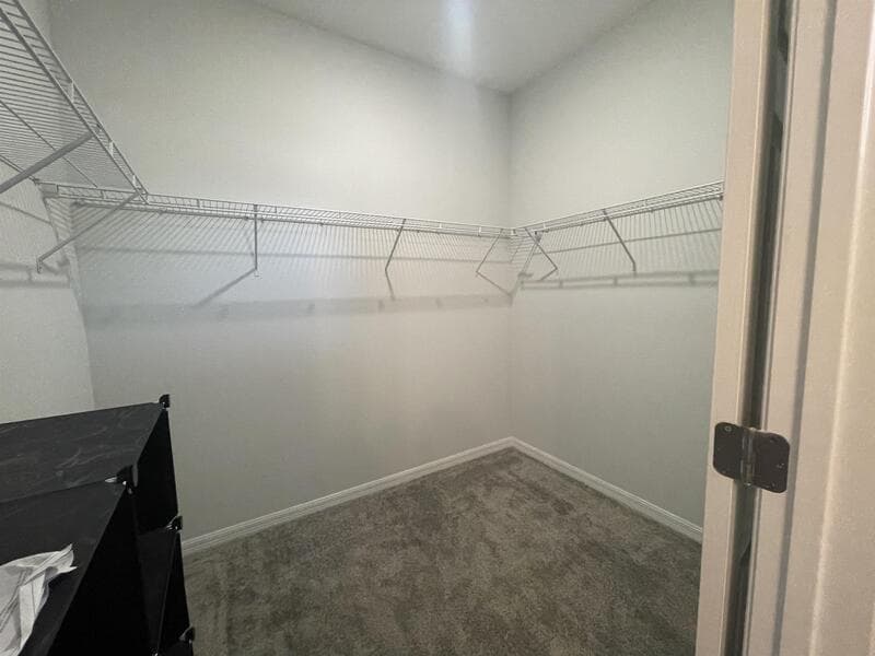 Wesley Chapel Townhome: 5211 Avalon Park Blvd - 1