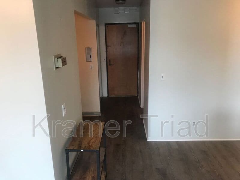 Ann Arbor Condo: 555 E William