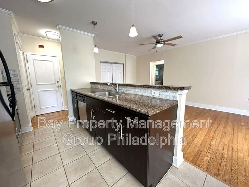 Philadelphia Condo: 437 W School House Ln