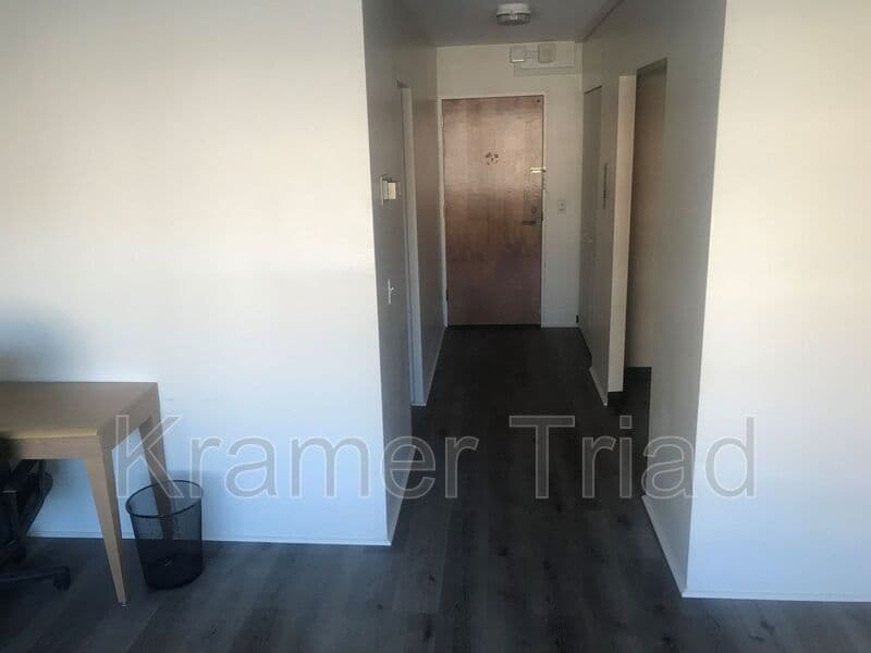 Ann Arbor Condo: 555 E William