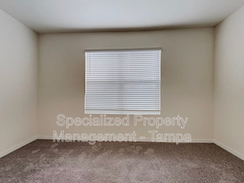 Wesley Chapel House: 31260 Penny Surf Loop