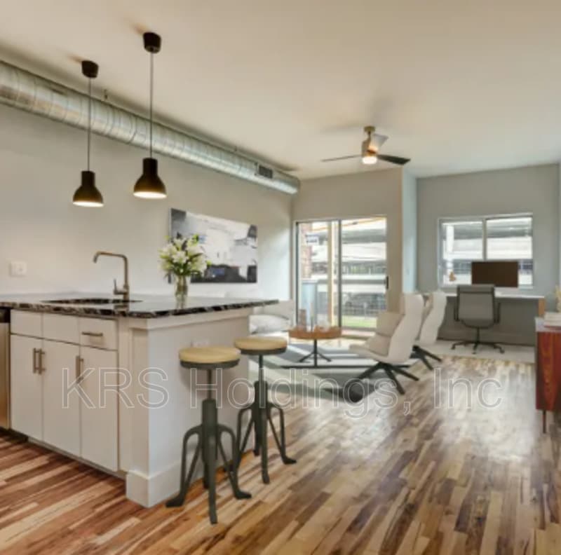 Richmond Condo: 805 W Cary St