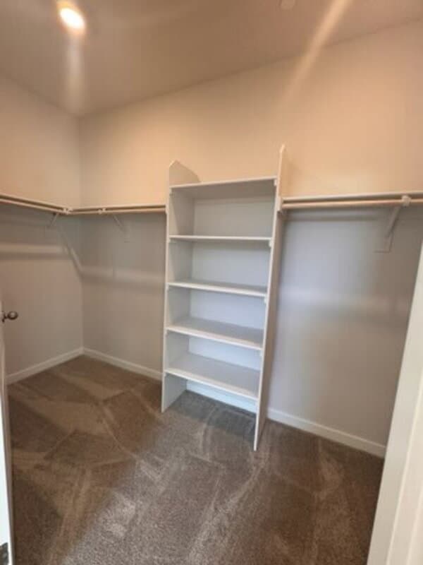 Placer One House: 3893 Prairie Blues Ct