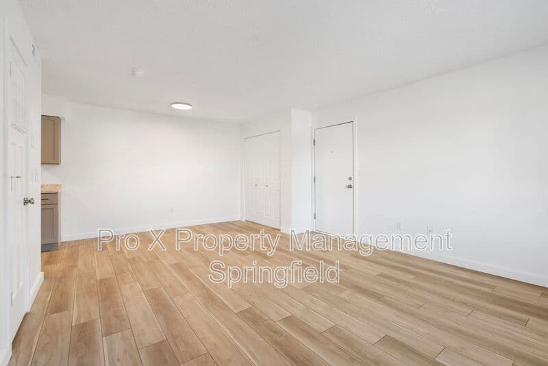 Springfield Condo: 3111 West Greenwood Street