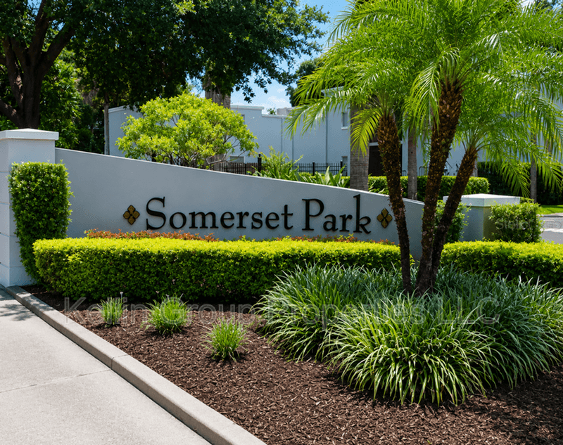 Tampa Townhome: 2862 Somerset Park Dr