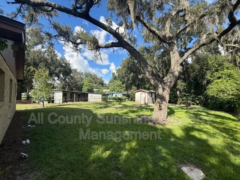 Tampa House: 5113 N 45th Street