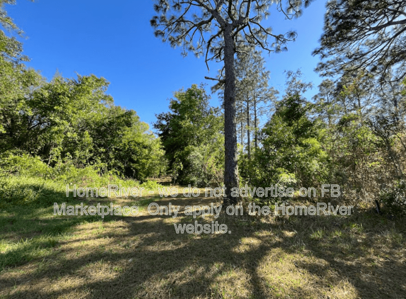 Spring Hill House: 17344 Dalberg Dr