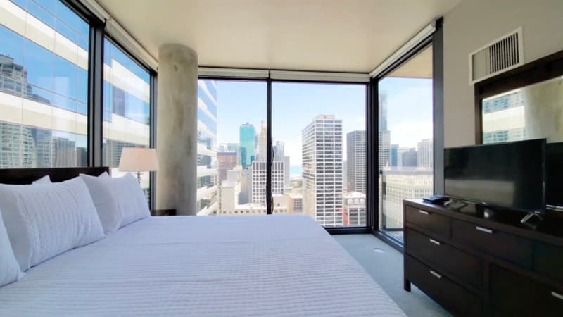 Chicago Condo: 501 N State St