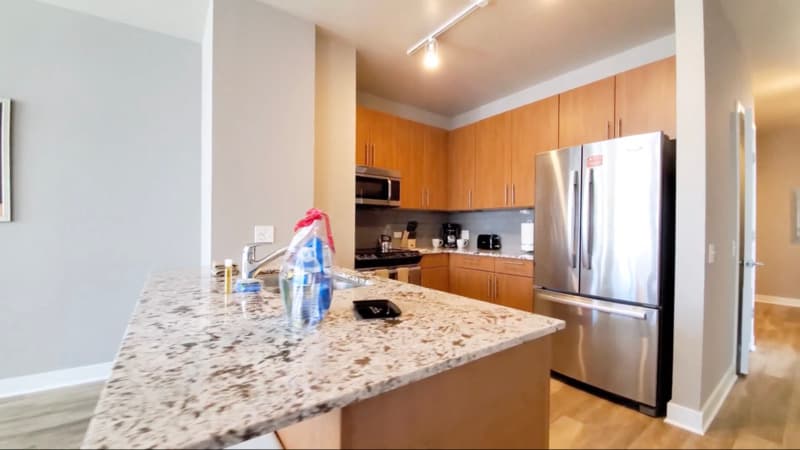 Chicago Condo: 501 N State St