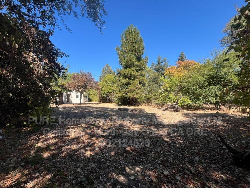 Ukiah House: 317 Clara Ave