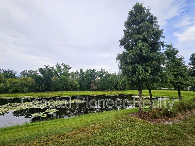 Riverview Townhome: 13251 Dupree Hills Pl