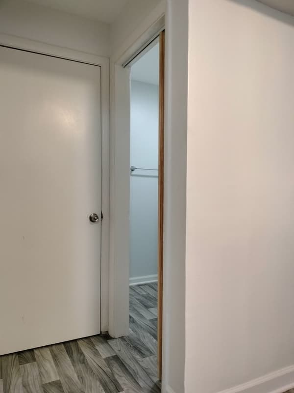 Chicago Condo: 7910 South Muskegon Avenue - 1