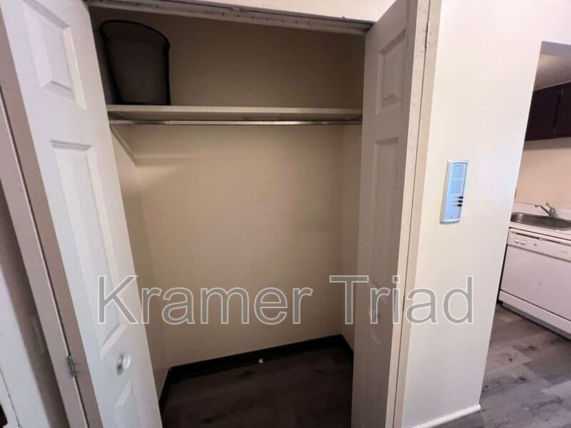 Ann Arbor Condo: 555 E William
