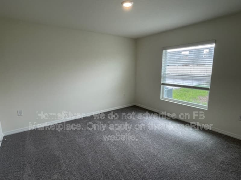 Wesley Chapel House: 34010 Sorrel Mint Dr