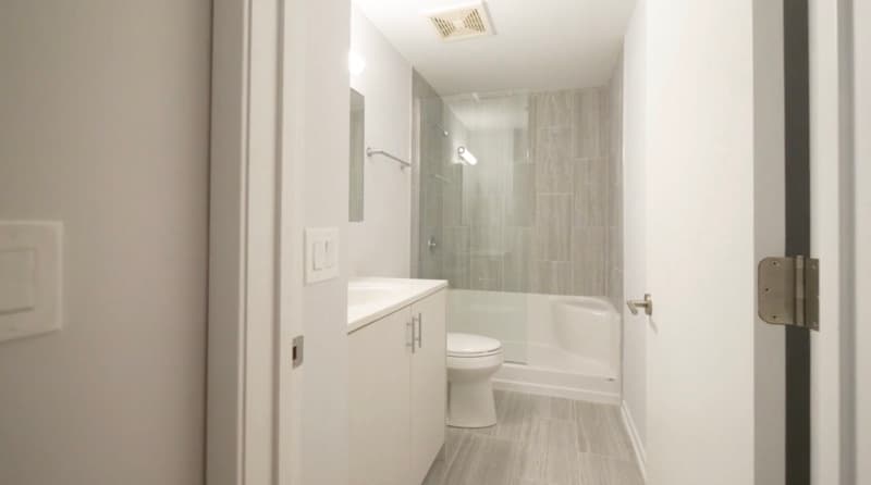 Chicago Condo: 176 N Wells St