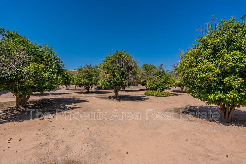 Mesa House: 4133 E Elmwood St