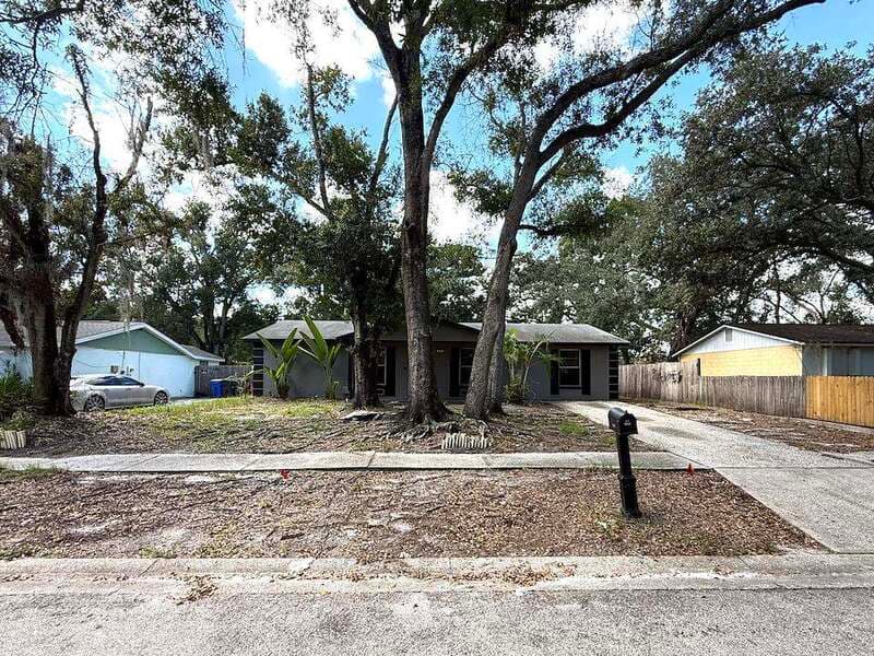 Tampa House: 3712 Patina Drive