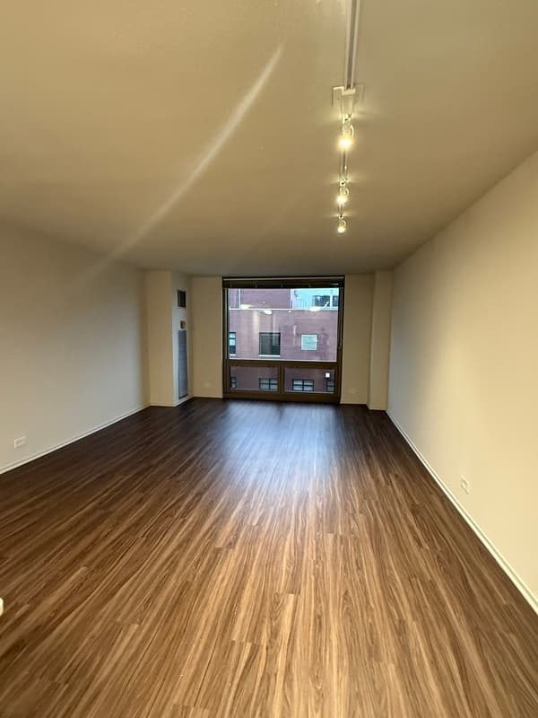 Chicago Condo: 1154 n dearborn st