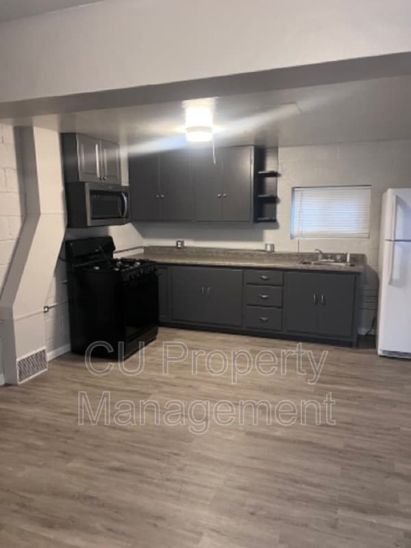 Champaign Condo: 313 Cottage Court