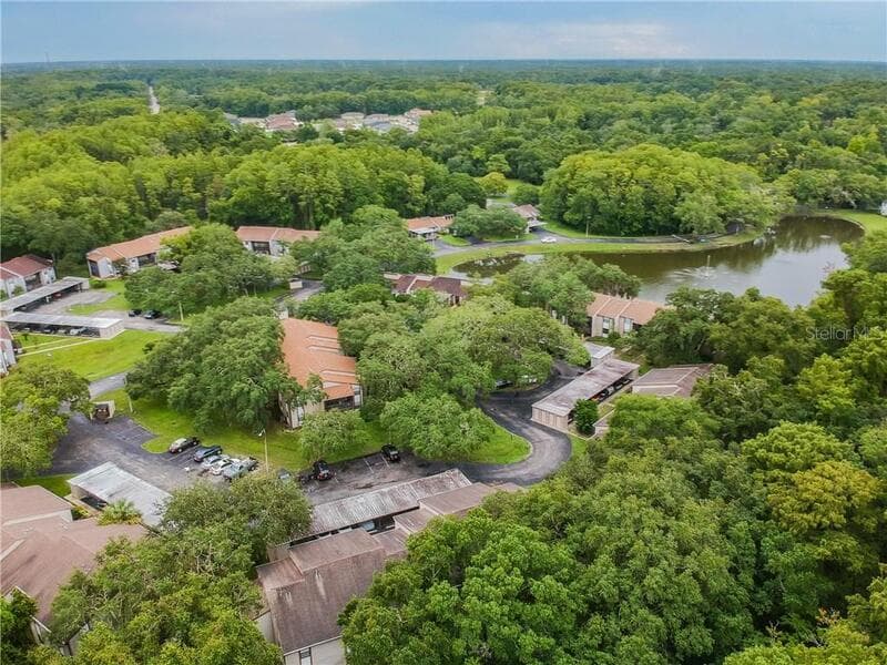 New Port Richey Condo: 12051 Proctor Loop - 2