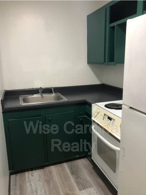 Denver City Condo: 417 West Birch Street