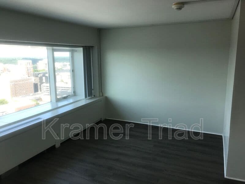 Ann Arbor Condo: 555 E William
