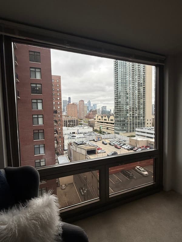 Chicago Condo: 1135 N Dearborn St