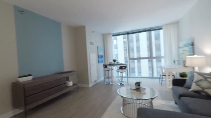 Chicago Condo: 207 N Garland Ct