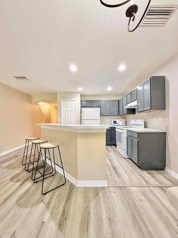 Brandon Townhome: 2516 Oleander Lakes Drive