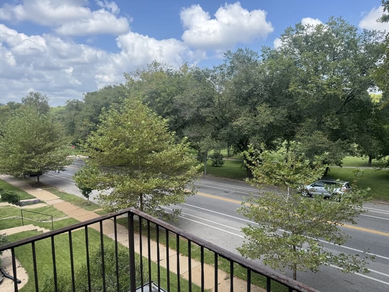 St. Louis Condo: 3870A Arsenal Street