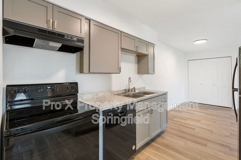 Springfield Condo: 3111 West Greenwood Street