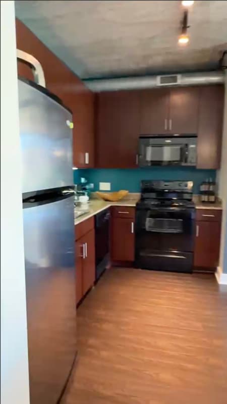 Chicago Condo: 741 S Clark St.
