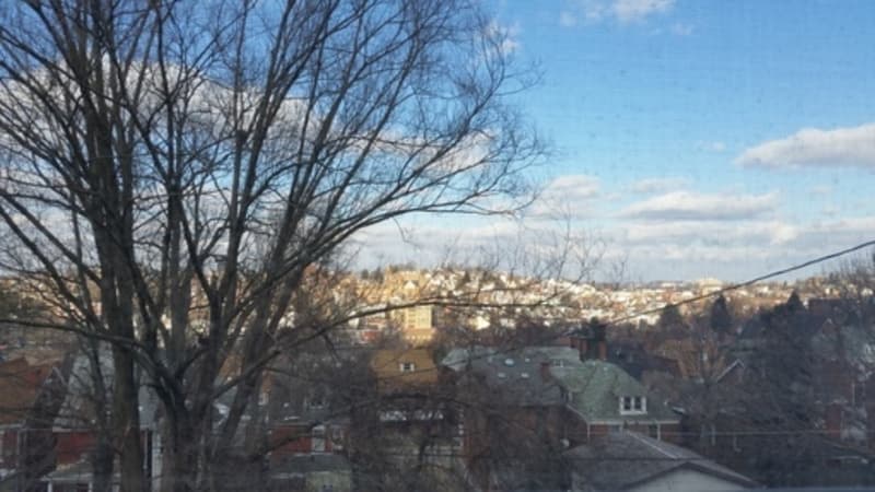 Pittsburgh Condo: 225 Suncrest Street Apt 1