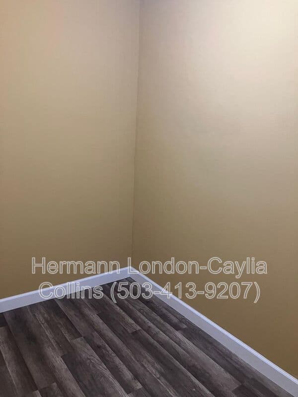 Saint Louis House: 251 Georgia Avenue