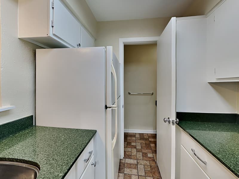 Dallas Condo: 2907 Shelby Ave
