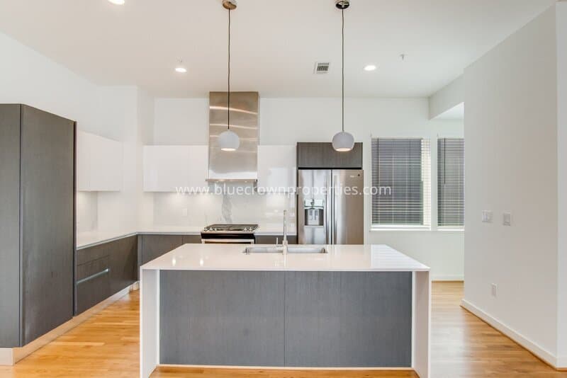 Dallas Townhome: 1515 S Akard St