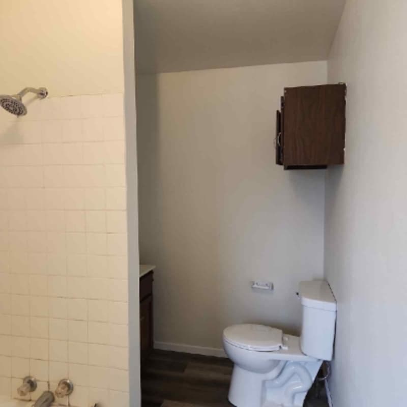 Appleton Condo: 119 South Walnut Street - C