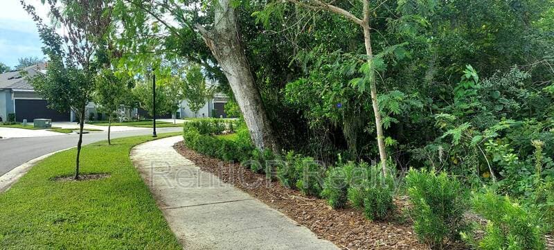 Lutz House: 353 Villa Corte Drive