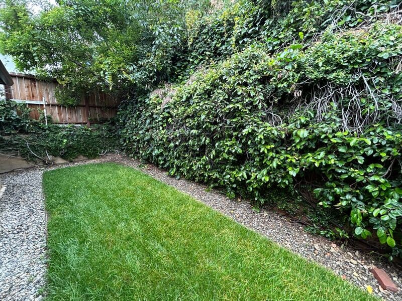 La Cañada Flintridge House: 5128 Crown Ave.