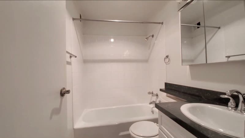 Chicago Condo: 60 E Scott st