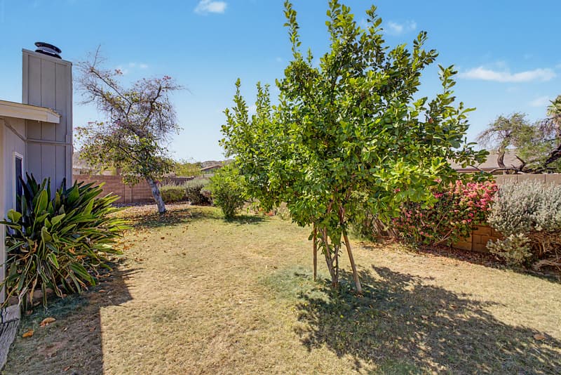 Phoenix House: 2822 E WILLOW Avenue