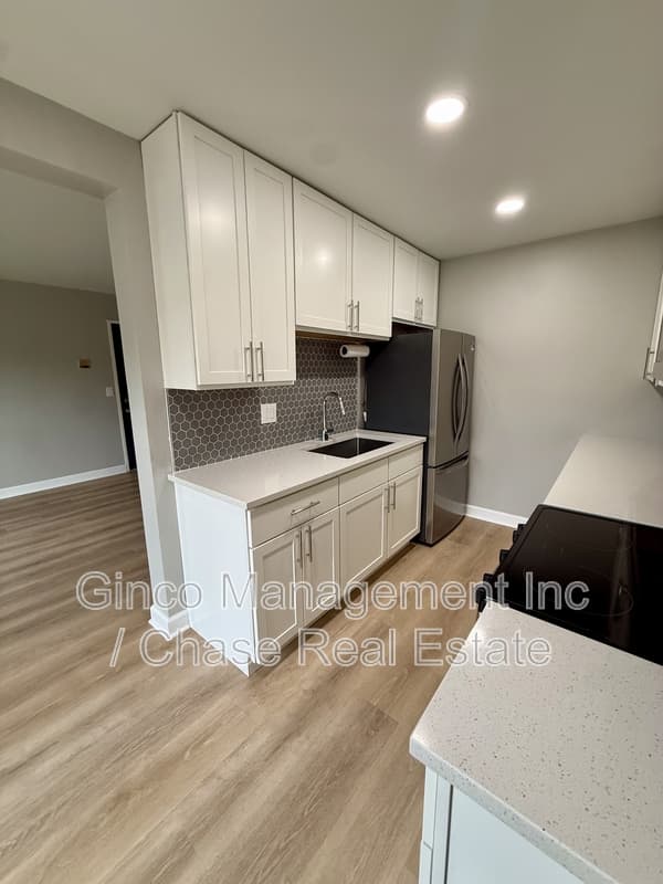 Braidwood Condo: 405 East Reed Street - 3